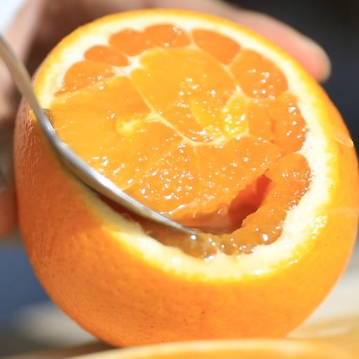 【湖北•九月红秭归脐橙】 果园新鲜采摘 香甜多汁 当季水果 现摘现发 商品图1