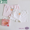 衣拉拉儿童内裤女童莫棉平角短裤小中大童2条盒装女童宝宝四角裤 商品缩略图2