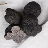 云南新鲜 野生黑松露500克 商品缩略图2