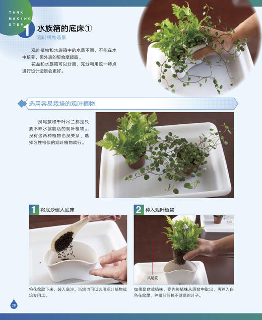 水族箱造景：给热带鱼打造一个海底世界 商品图3