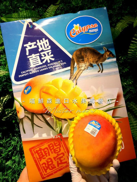 原装进口礼盒～澳洲珍珠芒礼盒💝 商品图1