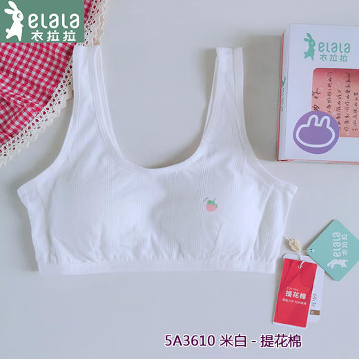 衣拉拉少女文胸纯棉女童成长发育期内衣女孩小背心少女中小学生 商品图0