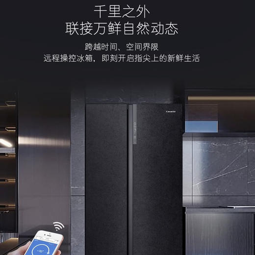 卡萨帝（Casarte）冰箱BCD-645WVPAU1 商品图13