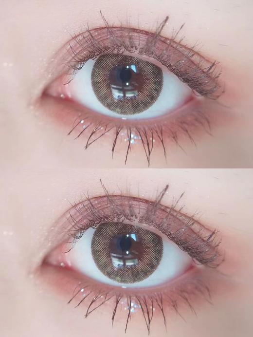 Medios旗下 ·琉璃棕｜日抛｜日抛｜14.2mm 中等直径 商品图2