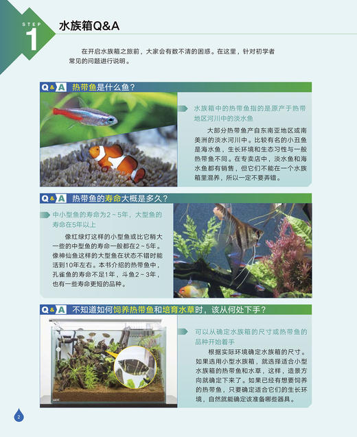 水族箱造景：给热带鱼打造一个海底世界 商品图2