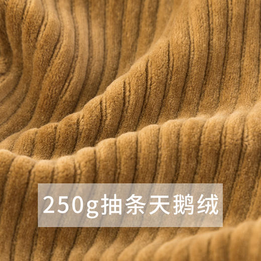 贝贝怡新款男童春秋宝宝保暖天鹅绒裤子休闲长裤213K2230
 商品图4