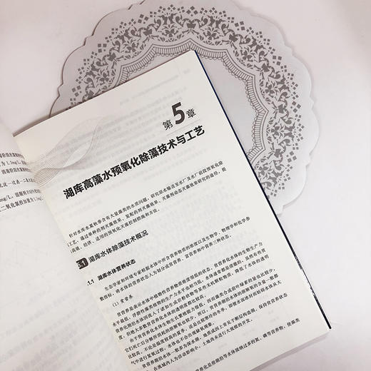 微污染水源水净化技术与工艺 商品图5