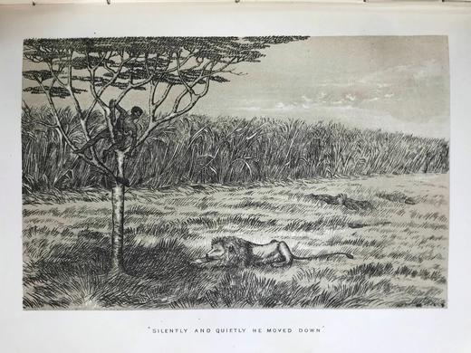 1875年 南非与东南非自然史 34幅插图 漆布精装大32开 商品图14