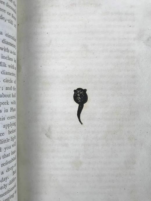 1801年 伊拉斯谟斯·达尔文《动物学》（全4卷）11页版画插图 真皮精装大32开 商品图6