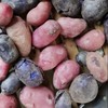 【助农专拍】帕米尔高原冰川土豆 5斤装【冰川土豆黑哥5斤】 商品缩略图1