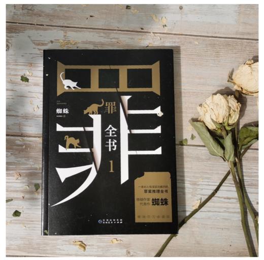 罪全书1 商品图5