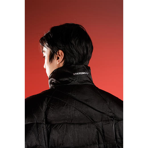 WHISTLEHUNTER(WSTHT)多缝线设计感立领宽松外套白鸭绒保暖羽绒服 商品图3