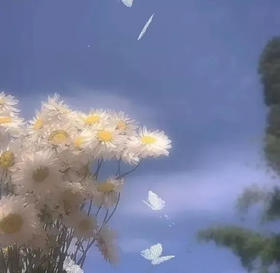 经历点烂事没什么