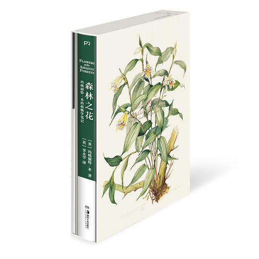 森林之花：玛格丽特·米的植物学笔记 商品图3