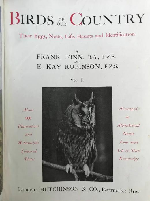 约20世纪早期 英国鸟类图集（全2卷） 约800幅插图（30幅彩色） 真皮精装16开 商品图3