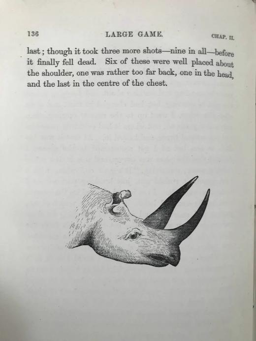 1875年 南非与东南非自然史 34幅插图 漆布精装大32开 商品图11