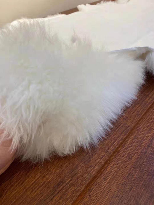 西藏直发！这是个好玩意！西藏雪羊皮 商品图7