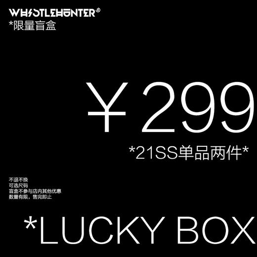 WHISTLEHUNTER(WSTHT)特惠299元潮牌限定盲盒 夏装福袋款式随机 商品图0