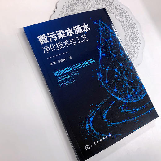 微污染水源水净化技术与工艺 商品图3