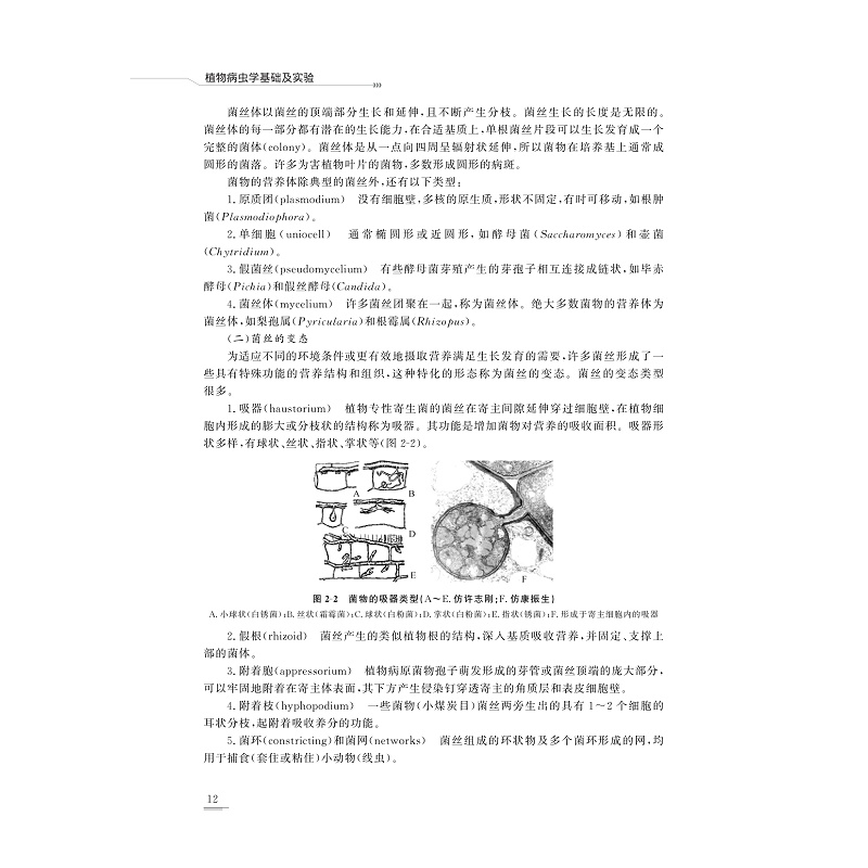 试读PDF-9787308209687(1-1)-植物病虫学基础及实验_020.jpg