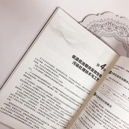 微污染水源水净化技术与工艺 商品图6