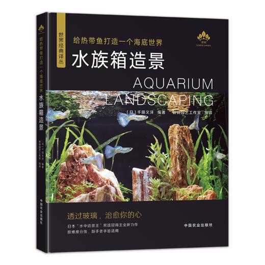 水族箱造景：给热带鱼打造一个海底世界 商品图1