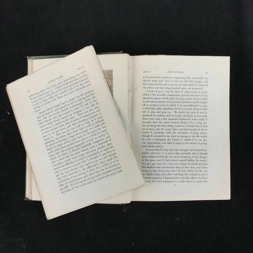 1875年 南非与东南非自然史 34幅插图 漆布精装大32开 商品图2