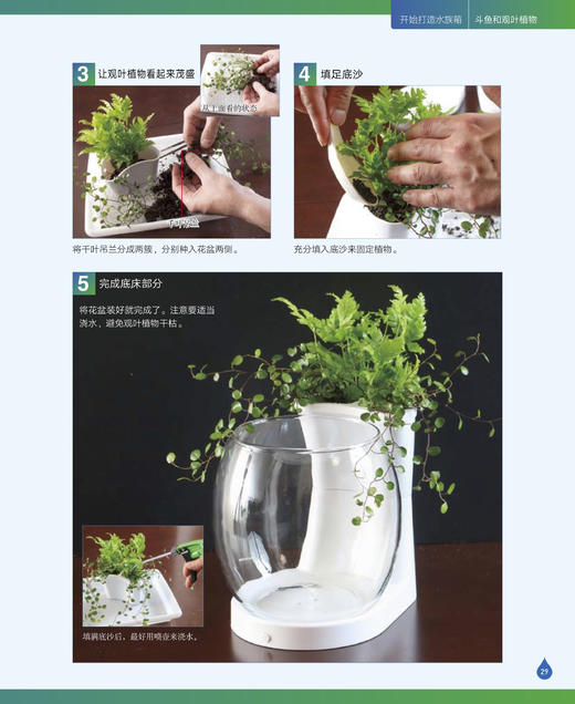 水族箱造景：给热带鱼打造一个海底世界 商品图4