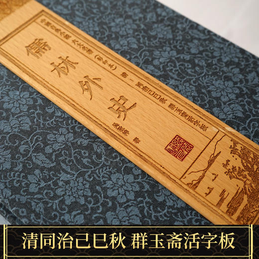 【崇贤藏珍】《儒林外史》（1函12册）同治己巳秋群玉斋活字板 商品图4
