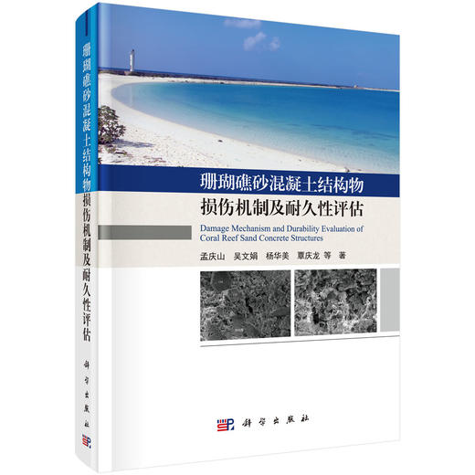 珊瑚礁砂混凝土结构物损伤机制及耐久性评估/孟庆山等 商品图0