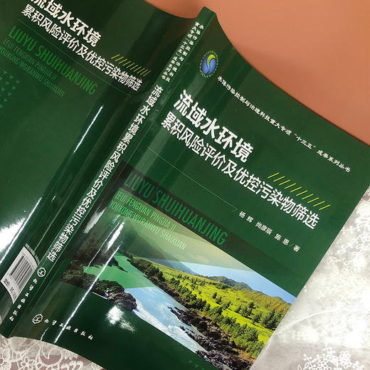 流域水环境累积风险评价及优控污染物筛选 商品图4
