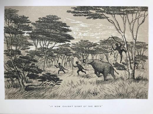 1875年 南非与东南非自然史 34幅插图 漆布精装大32开 商品图10