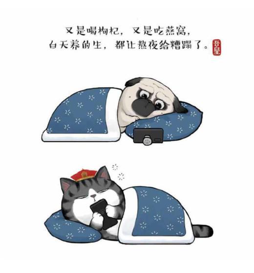 就喜欢你看不惯我又干不掉我的样子5 商品图6