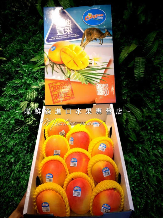 原装进口礼盒～澳洲珍珠芒礼盒💝 商品图4