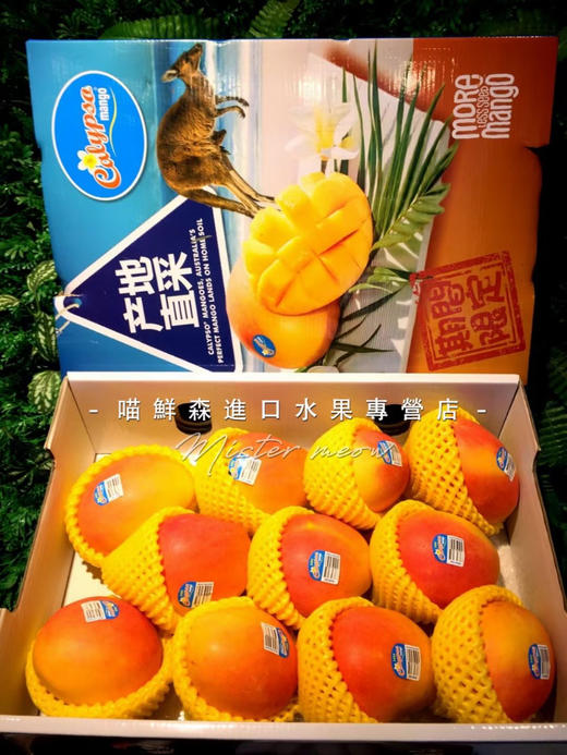 原装进口礼盒～澳洲珍珠芒礼盒💝 商品图3