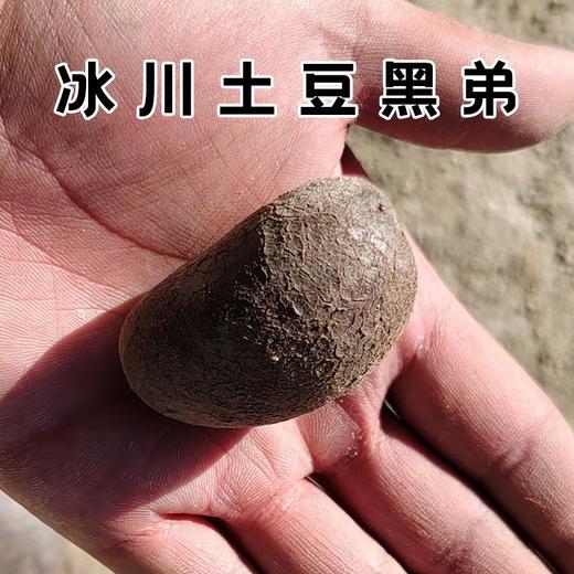 【助农专拍】帕米尔高原冰川土豆 5斤装【冰川土豆黑哥5斤】 商品图3