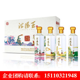 汾阳王53°国风清香500ML*4瓶清香型白酒礼盒装