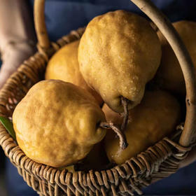 山东莱阳丑梨  吃软不吃硬 核心产区  清甜水润   润肺神器  当季新鲜