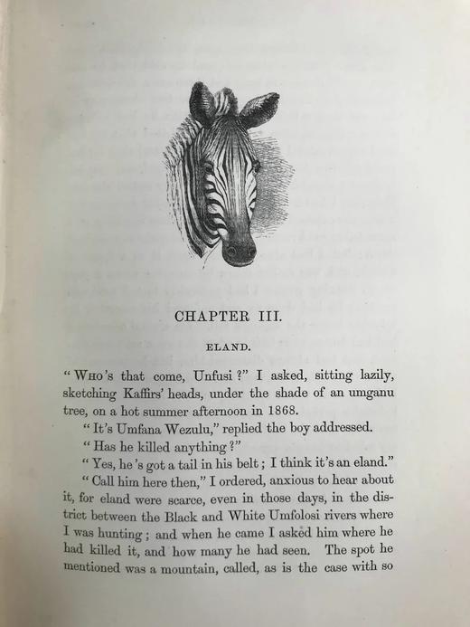 1875年 南非与东南非自然史 34幅插图 漆布精装大32开 商品图12