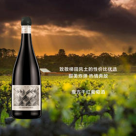 【老藤佳酿】法国魔方干红葡萄酒 Domaine du Roc Le Geometrie 2020