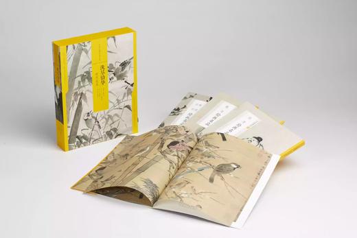 中国绘画名品（合集）·洗尽铅华：明代花鸟 定价352元 商品图1