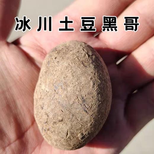 【助农专拍】帕米尔高原冰川土豆 5斤装【冰川土豆黑哥5斤】 商品图4