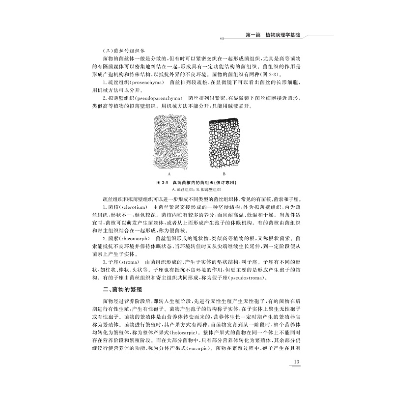 试读PDF-9787308209687(1-1)-植物病虫学基础及实验_021.jpg
