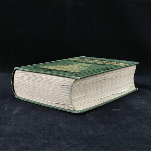 1884年 大洋洲地理与旅行概要 数十幅版画插图与地图 漆布精装32开 商品图1