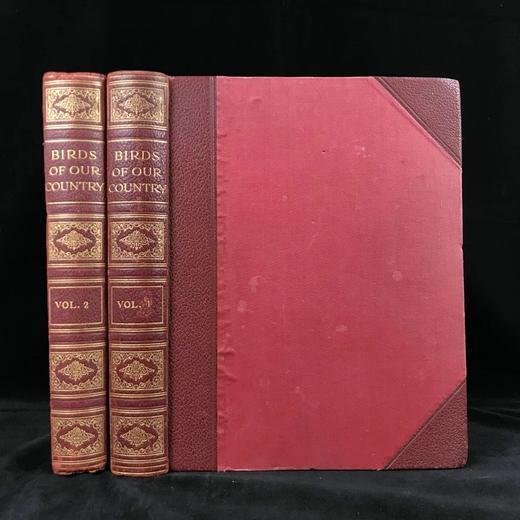 约20世纪早期 英国鸟类图集（全2卷） 约800幅插图（30幅彩色） 真皮精装16开 商品图0
