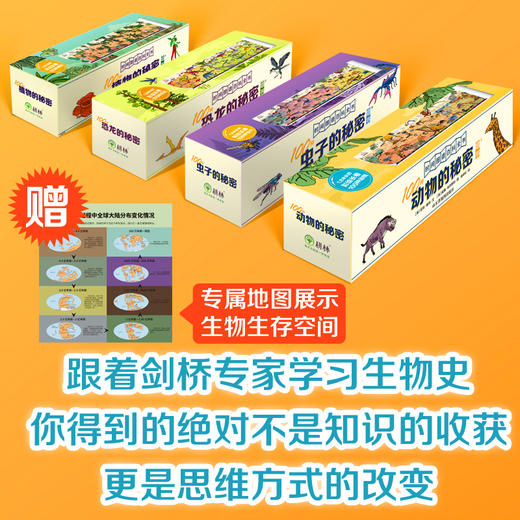 100种秘密系列墙书（全4册）5岁+ 1.8m思维导图长卷 一张纸讲透10亿年生物演化史 商品图0