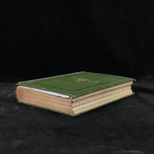 1875年 南非与东南非自然史 34幅插图 漆布精装大32开 商品图1