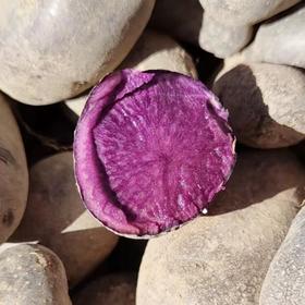 【助农专拍】帕米尔高原冰川土豆 5斤装【冰川土豆黑哥5斤】