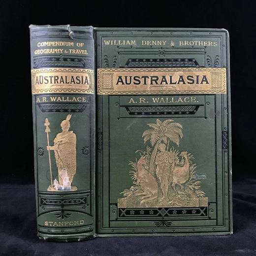 1884年 大洋洲地理与旅行概要 数十幅版画插图与地图 漆布精装32开 商品图0