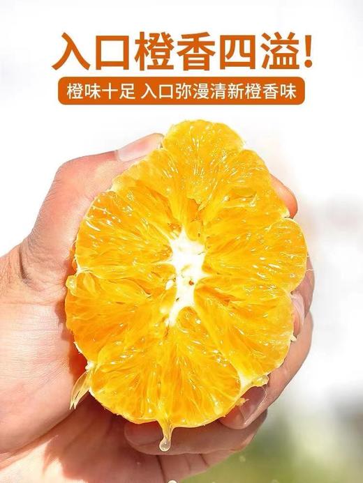 周六取货：【橙上良品赣南脐橙】一份5斤左右，果肉细腻，香气扑鼻！ 商品图3